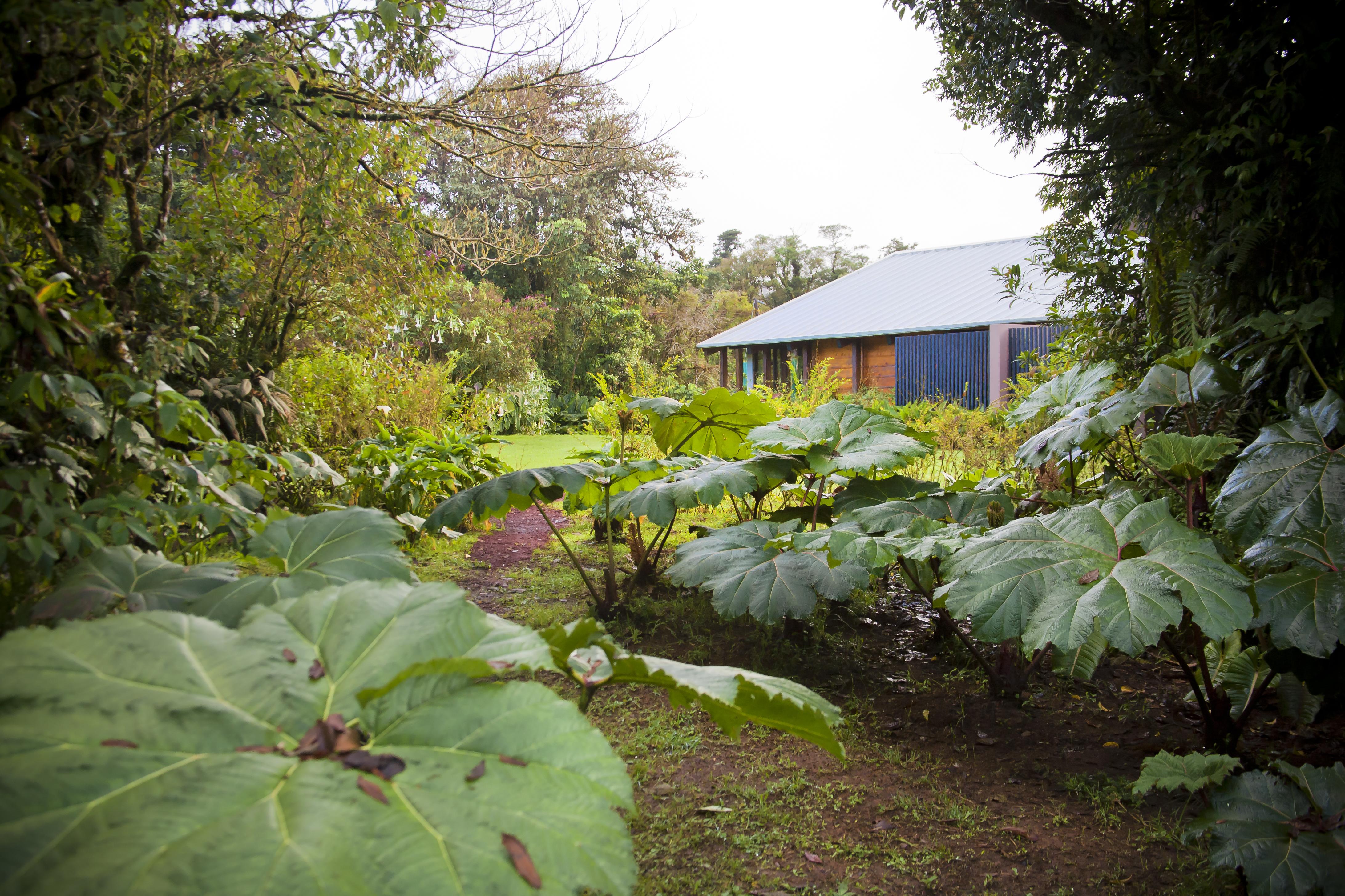 Poas Volcano Lodge Vara Blanca  Buitenkant foto